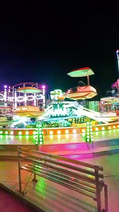 Nombreuses Attractions   Foire des Rameaux de Grenoble  #france #grenoble #foire #divertissement   (75)