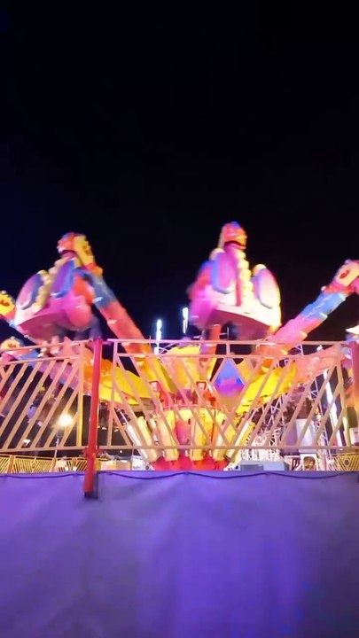 Nombreuses Attractions   Foire des Rameaux de Grenoble  #france #grenoble #foire #divertissement   (67)