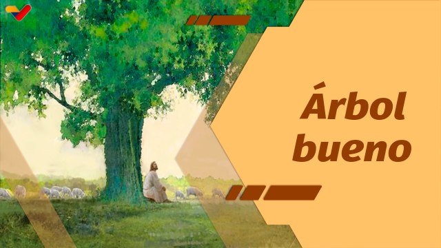 La Santa Misa | No hay árbol bueno que produzca frutos malos, ni árbol malo que produzca los buenos