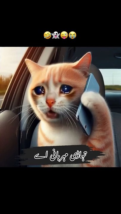 Funny video 😂