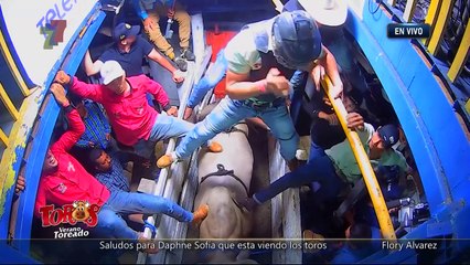 Monta “Dejavu” - 1 de marzo 2025