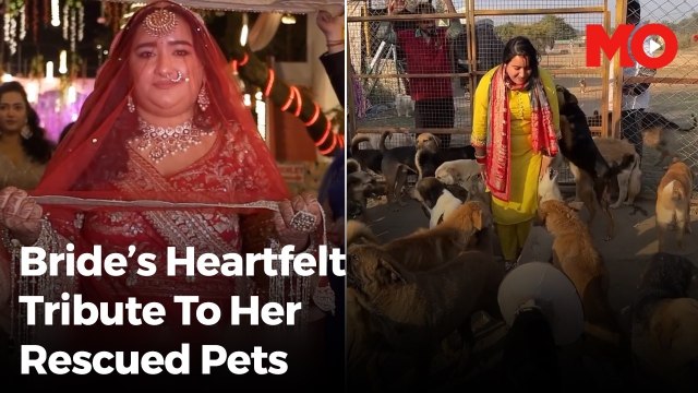 Promises: Bride’s veil wins hearts with furry tribute