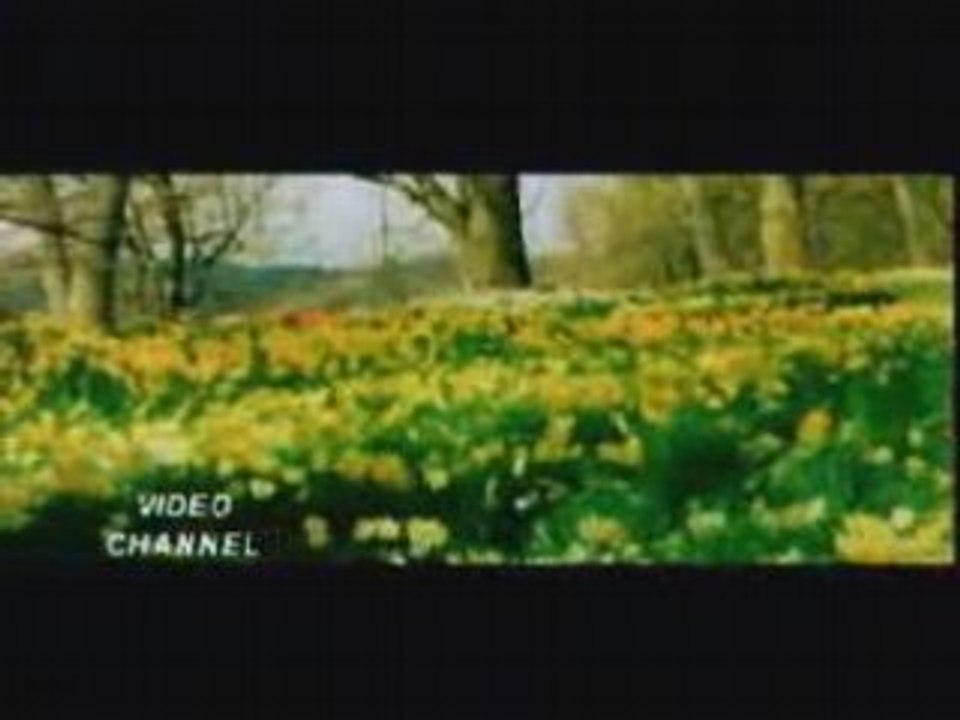 TUM DIL KI DHARKEN