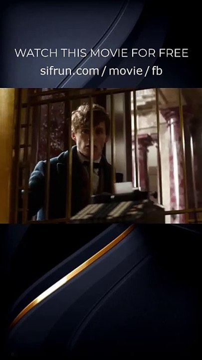 Bank Scene - Fantastic Beasts (2016 film) Movie Clip