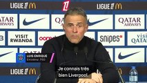PSG - Enrique : “PSG - Liverpool pourrait être une finale de Ligue des champions”