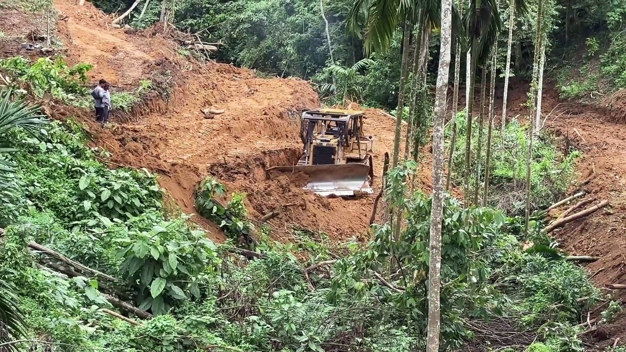 Project to Establish Palm Terraces in Plantations Using D6R XL Bulldozers