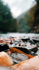 Beauty Of Nature Relaxing Music , Stress Relief Music, Sleep Music,