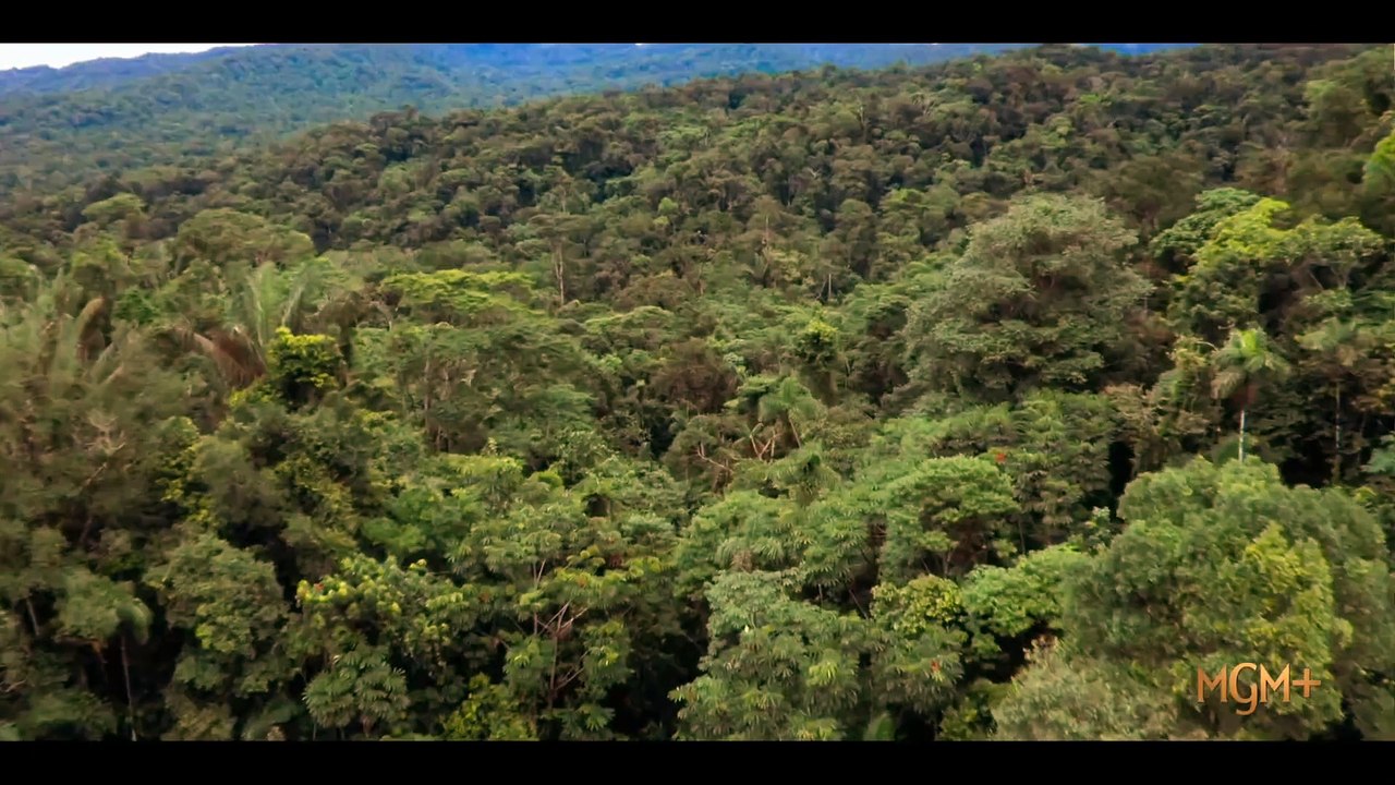 Nine Bodies In A Mexican Morgue | Official Trailer #2🔥March 2 🔥Eric McCormack | MGM+