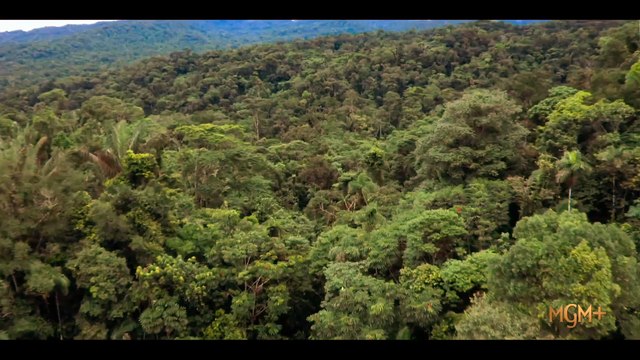 Nine Bodies In A Mexican Morgue | Official Trailer #2🔥March 2 🔥Eric McCormack | MGM+