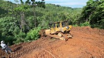 Advantages of the D6R XL Bulldozer Opens Oil Palm Terraces in Steep Plantations