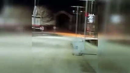 Şaşırtan görüntü! Kurt sürüsü şehre indi