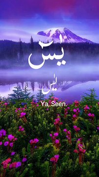 Surah Yaseen Recitation🤲🤲🤲❤️❤️❤️❤️❤️👍👍 | Beautiful & Soothing Quran Recitation Description: Experience the calming and spiritual recitation of Surah Yaseen, the heart of the Quran. This beautiful recitation will bring peace to your heart