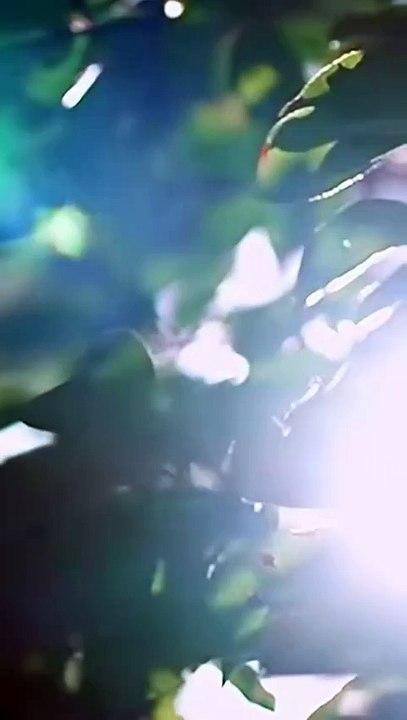 Rebirth & Revenge – Betrayed in her past life, she was ruthless in this one, crushing her ex and his mistress.