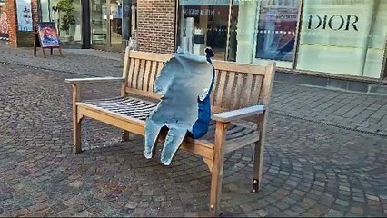 Newbury’s beloved Paddington statue stolen from Northbrook Street