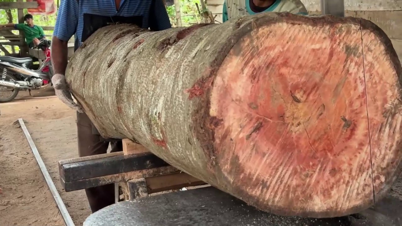 Tutorial on Sawing 2x20 Wood with an Effective Sawmill Machine