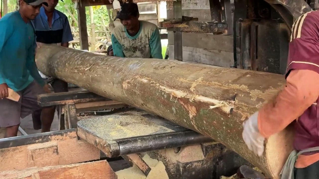 Sawmill Machine for Wood Entrepreneurs Cut 5x10 Easily