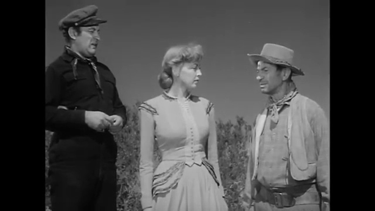 Cuatro Pistoleros Rápidos / Películas del Oeste