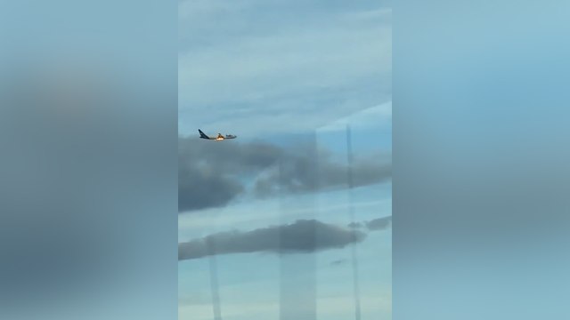 ABD'de kuş çarpan kargo uçağı acil iniş yaptı