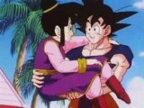 Goku loves Chichi