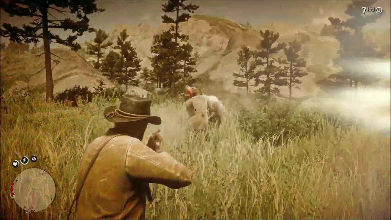 RDR 2: C2 # 15 - Hunter