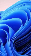 Excel Tips and Tricks - Auto Fit Row and Column