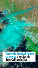 Tormenta tropical Ileana se acerca a costas de Baja California Sur