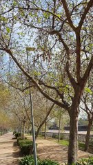 Fighter Jets in Santiago, Chile. P2 