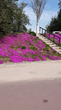 Parque de la Familia in Santiago, Chile