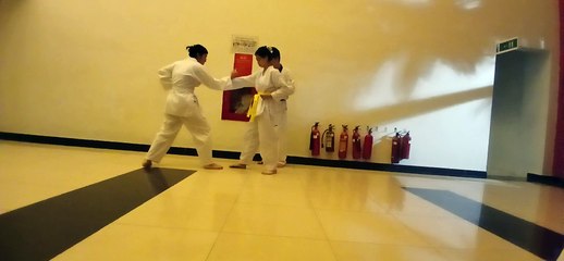 Taekwondo , tkd 20240905_194452