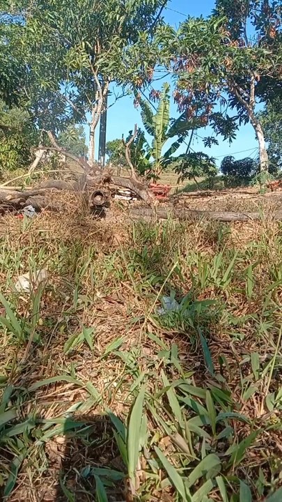 Btthnya di tunggu ya