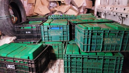 No lugar de supostas cestas básicas, era maconha... Idoso é preso com quase meia tonelada da droga