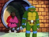 Teenage Mutant Ninja Turtles - Se5 - Ep12 - Leonardo Cuts Loose HD Watch