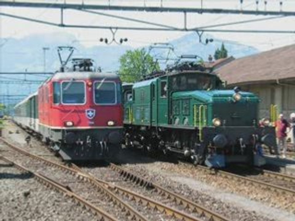 Crocodile sbb