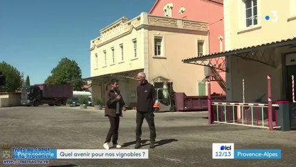 Editions spéciales de FRANCE3 au cellier lou bassaquet de Trets sur la viticulture 13sept2024