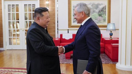 김정은, 방북 쇼이구 만나 "러시아와 협력 더욱 확대" / YTN