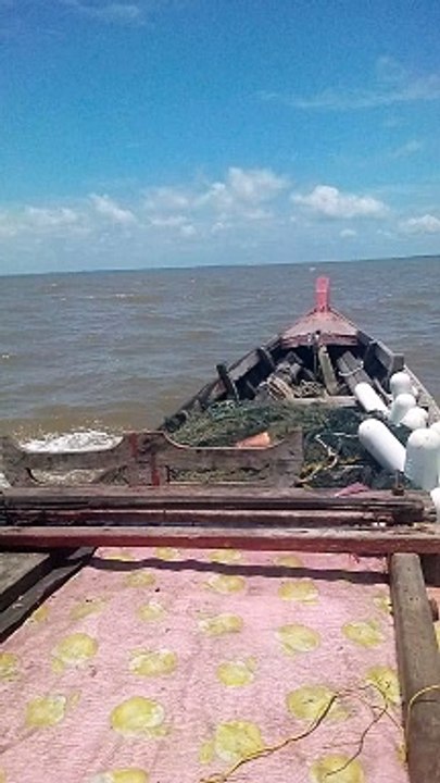 returning from the sea