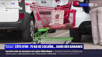 Côte d'Or: 70 kg de cocaïne dissimulés dans des bananes