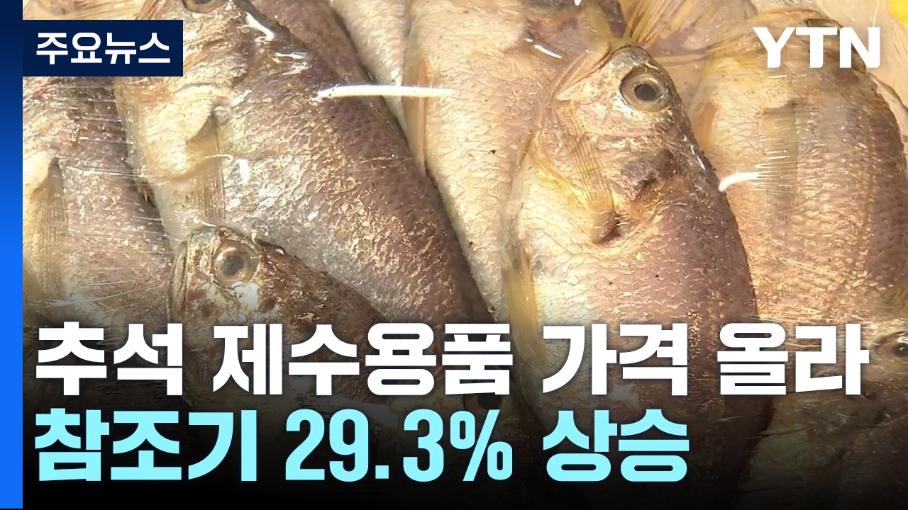 추석 다가오니 참조기 가격 30%↑..."부담되네~" / YTN
