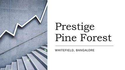 Prestige Pine Forest