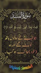 (القرآن الكريم سورة المسد (التبت