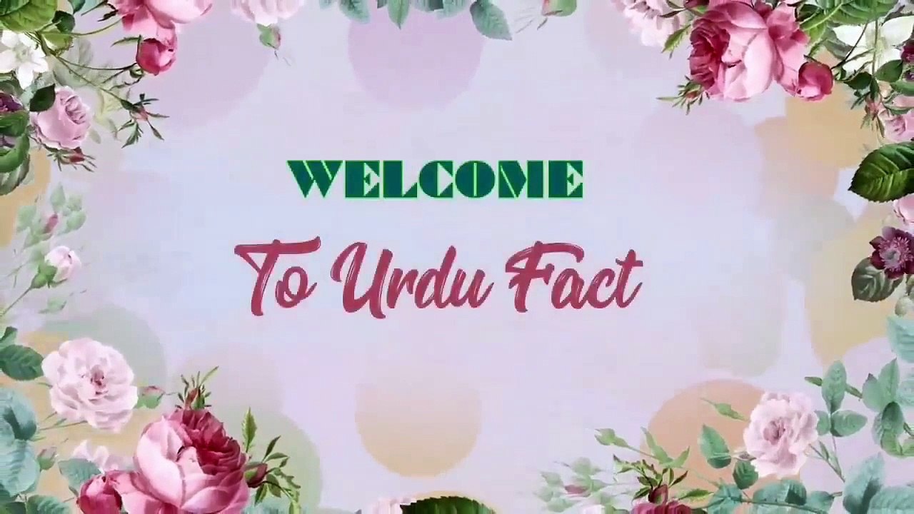 Top 60 Most Trending Modern Islamic Baby Girls Name With Meaning In Urdu Hindi __ New Names 2023