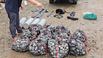 잠수 장비 이용 무허가 조업 잠수부 2명 붙잡혀 / YTN