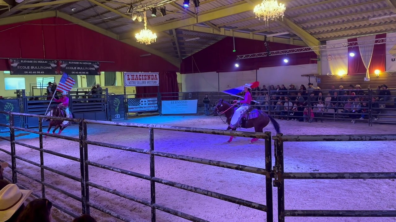 American Horse Show au Haras