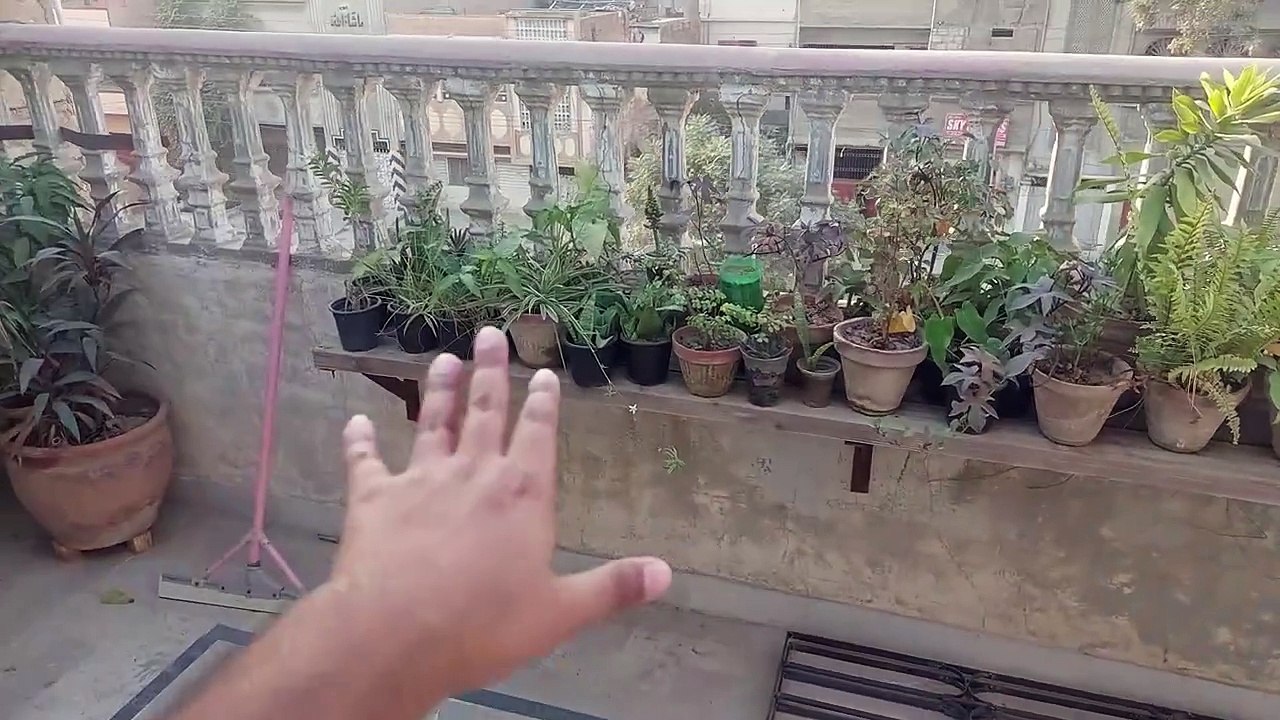 Rooftop Garden Renovation Part 01