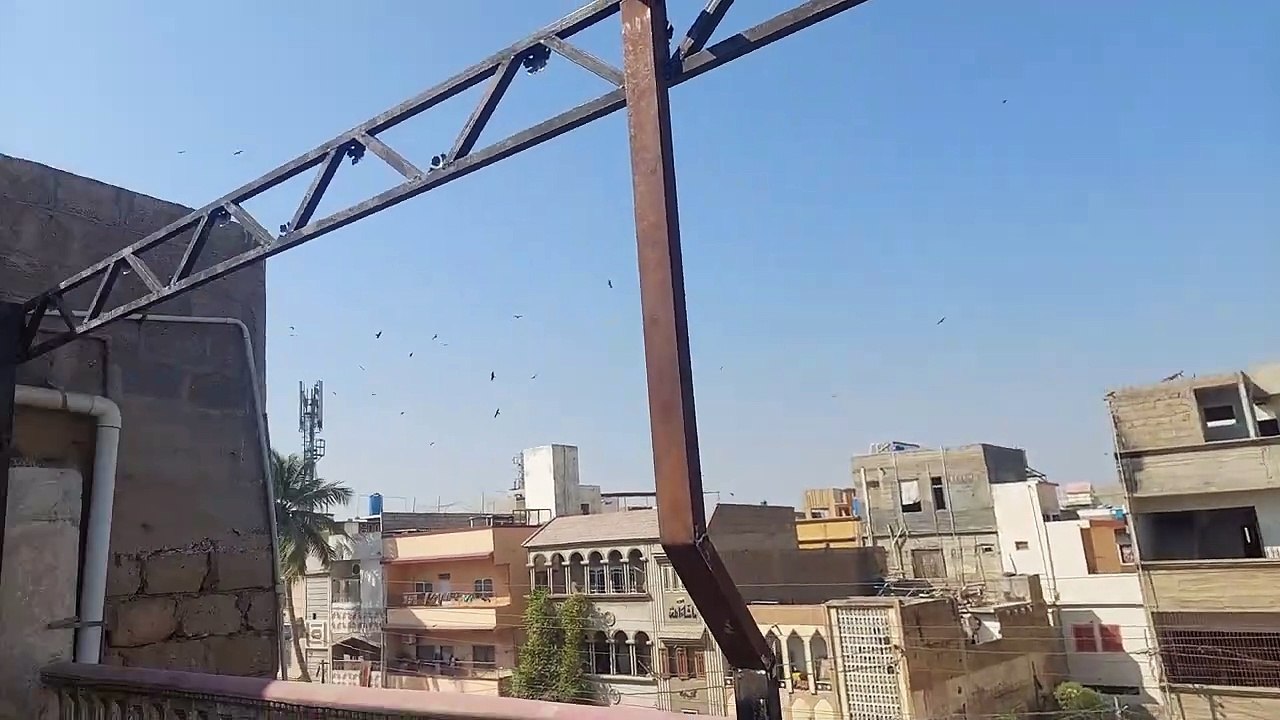 Rooftop Garden Renovation Part 02