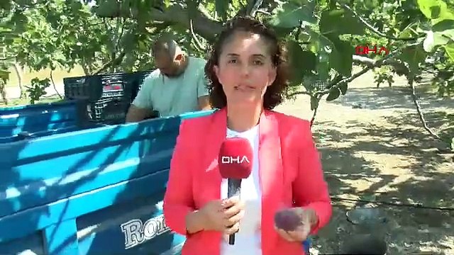 Türkiye'de üretiliyor, Buckingham Sarayı'nda sofraları süslüyor