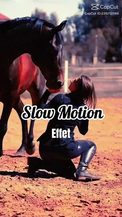 #horse lover