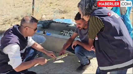 Van'da Balıkçılara Kapsamlı Denetim Uygulandı