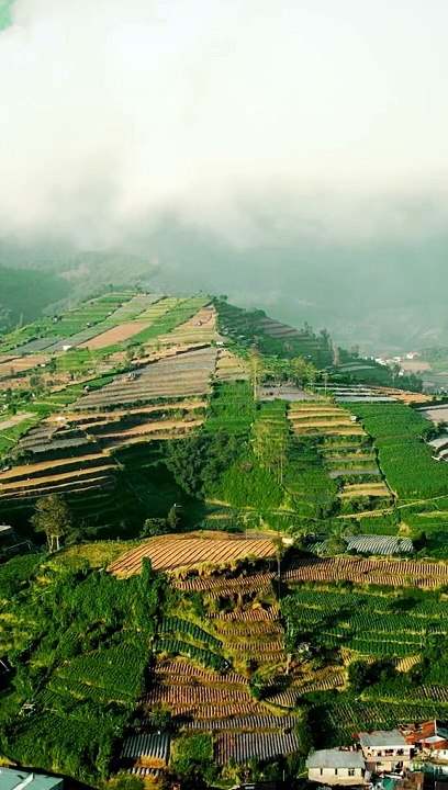 Dieng Wonosobo Jawa Tengah