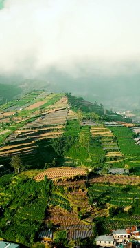 Dieng Wonosobo Jawa Tengah